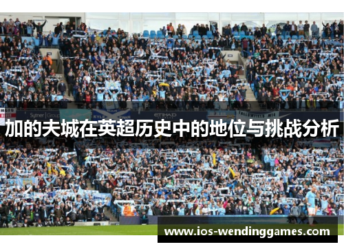 加的夫城在英超历史中的地位与挑战分析